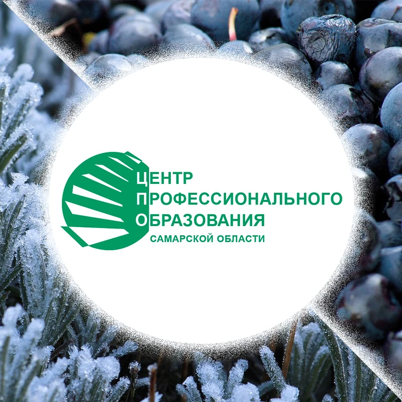 ЦПО Самарской области