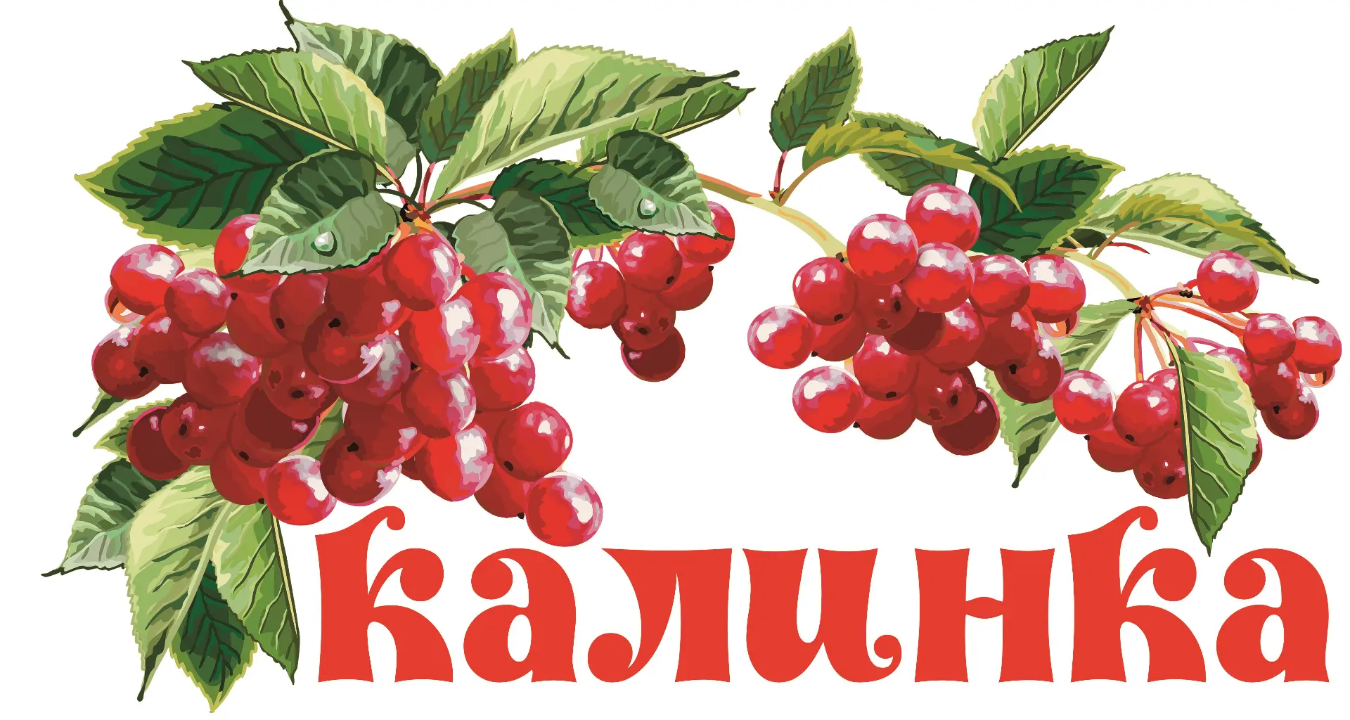 МАДОУ  "Калинка"