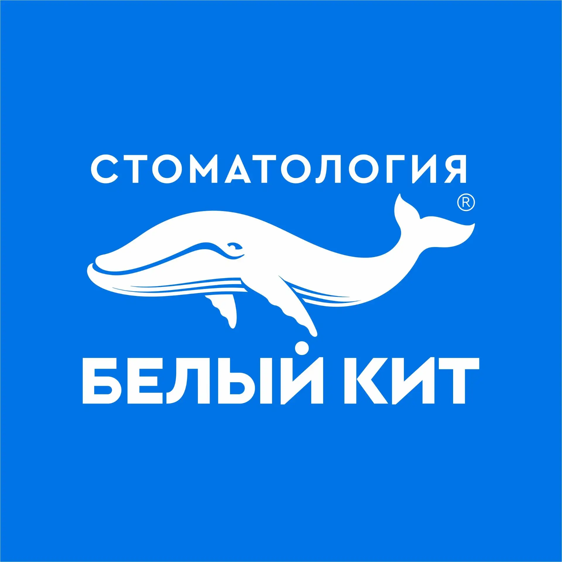 СКИДКИ от стоматологии «Белый Кит»🐳 Не пропустите!