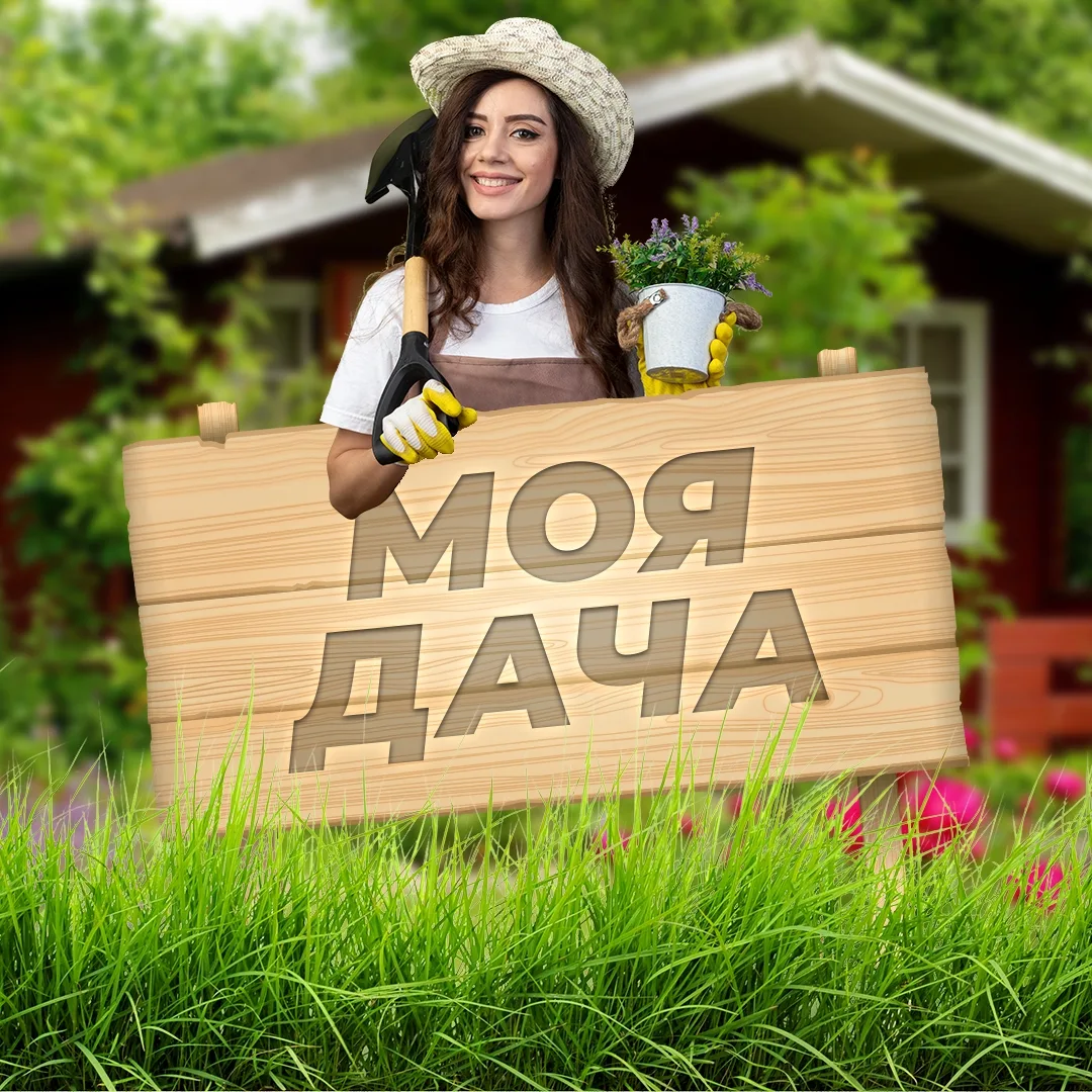 Моя дача