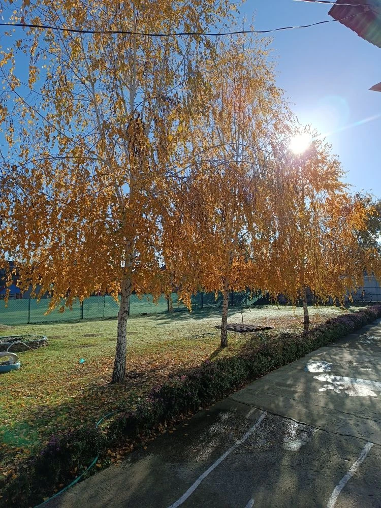 Новости МБДОУ №19 ст.Ново-Осетинской