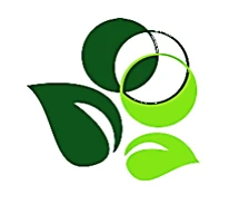 ГБУ РМЭ "РКОД"