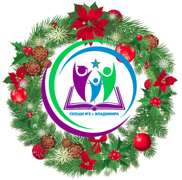ГКОУ ВО "СКОШИ №2 г.Владимира"