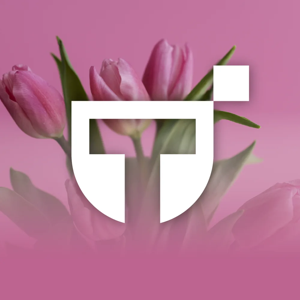 Моя Территория