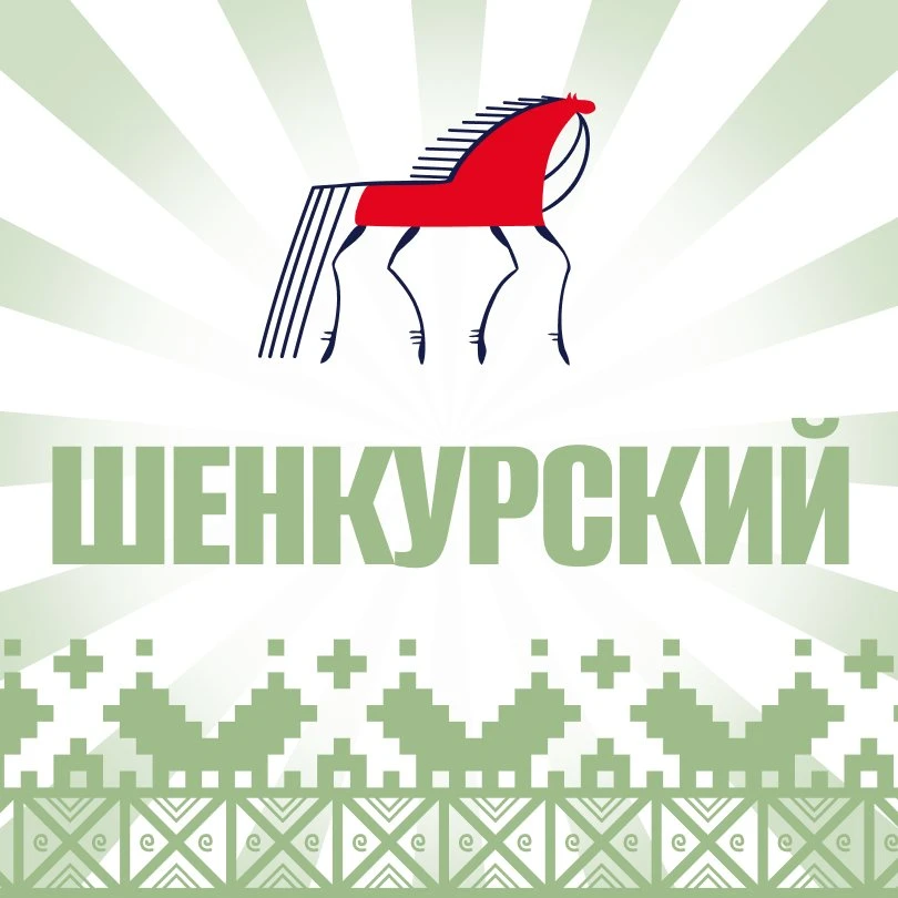 Шенкурский муниципальный округ — канал в мессенджере MAX