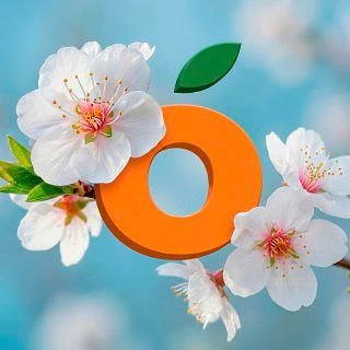 Логотип канала