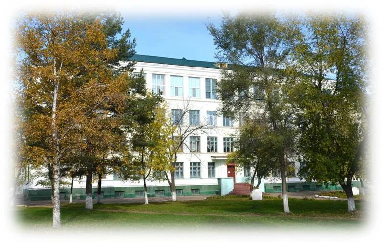 МОБУ "СОШ №8" г.Арсеньев