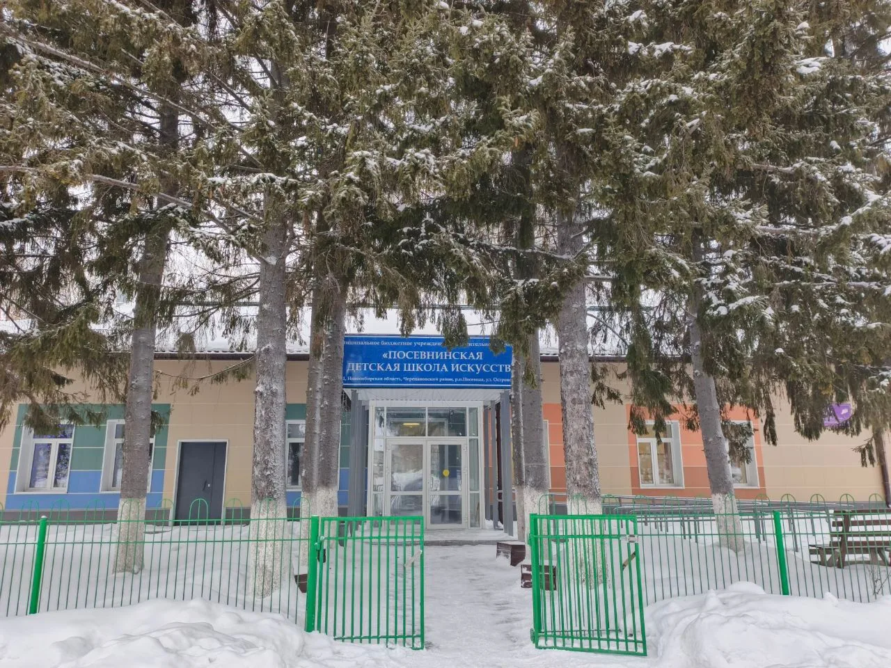 МБУ ДО ПОСЕВНИНСКАЯ ДШИ