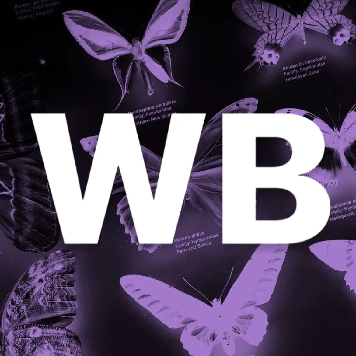 мой уголок WB/OZON — канал в мессенджере MAX