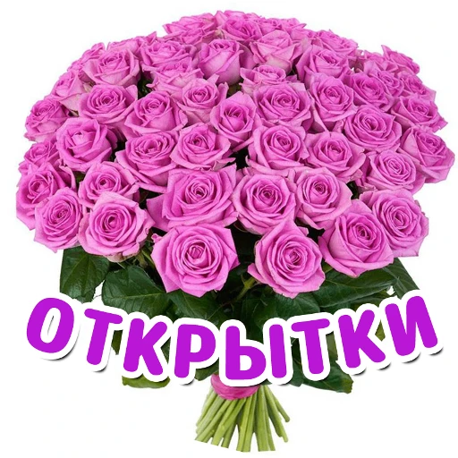 ОТКРЫТКИ — канал в мессенджере MAX