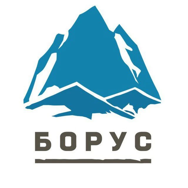 Борус — канал в мессенджере MAX