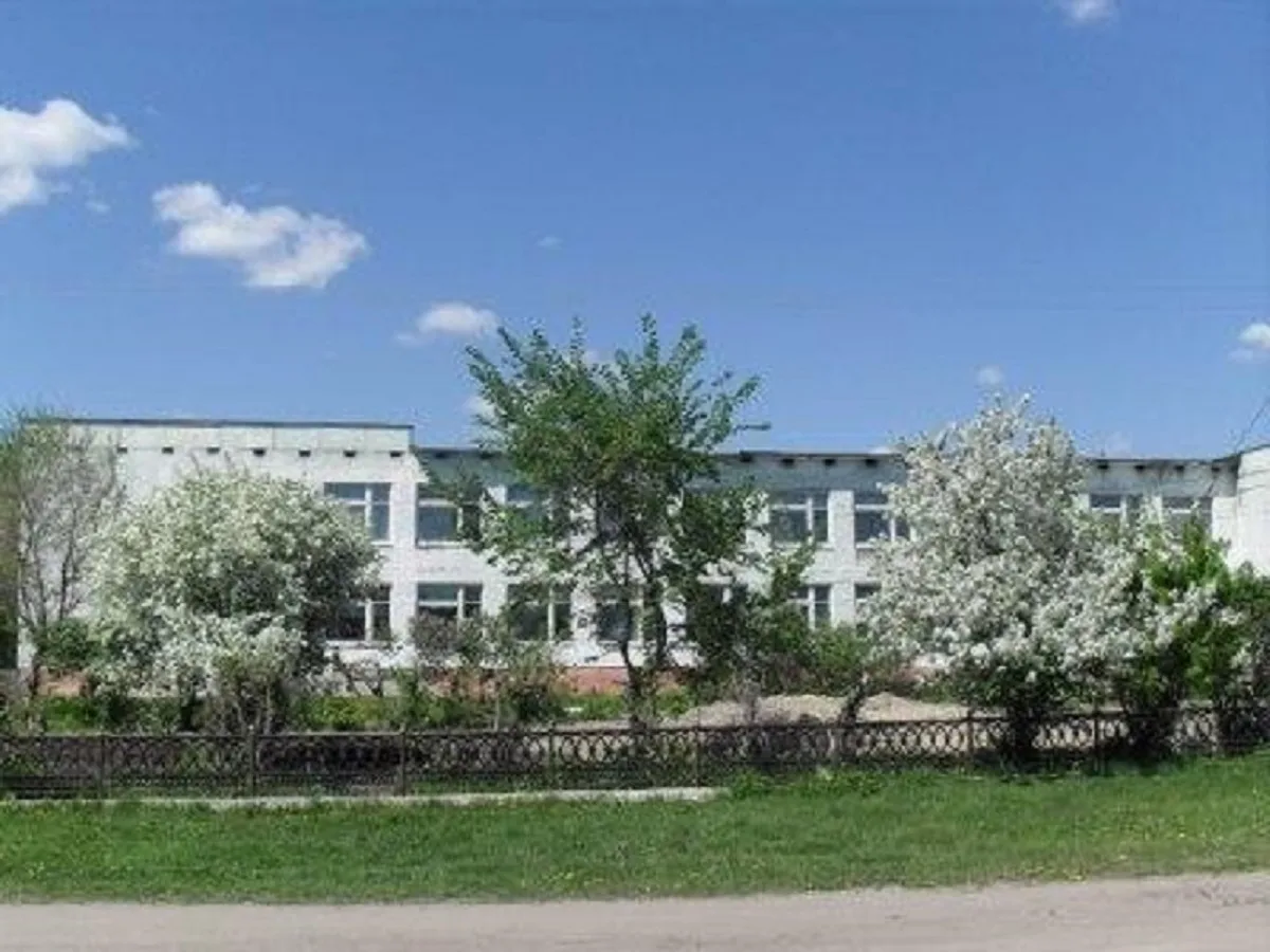 МКОУ "Боровская СОШ" — канал в мессенджере MAX
