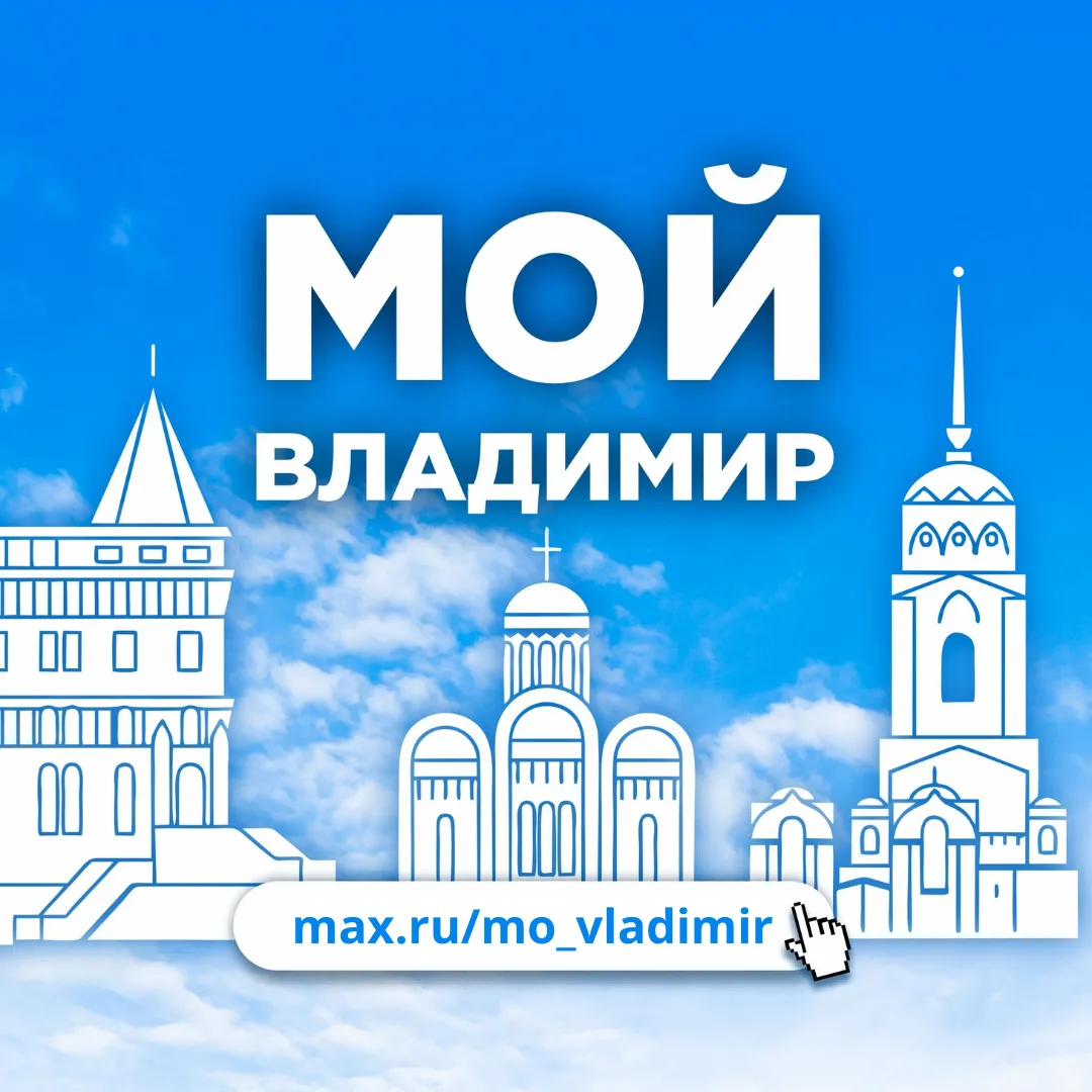 Мой Владимир — канал в мессенджере MAX
