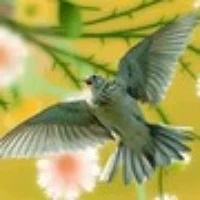 МАДОУ детский сад № 35 "Жаворонок"