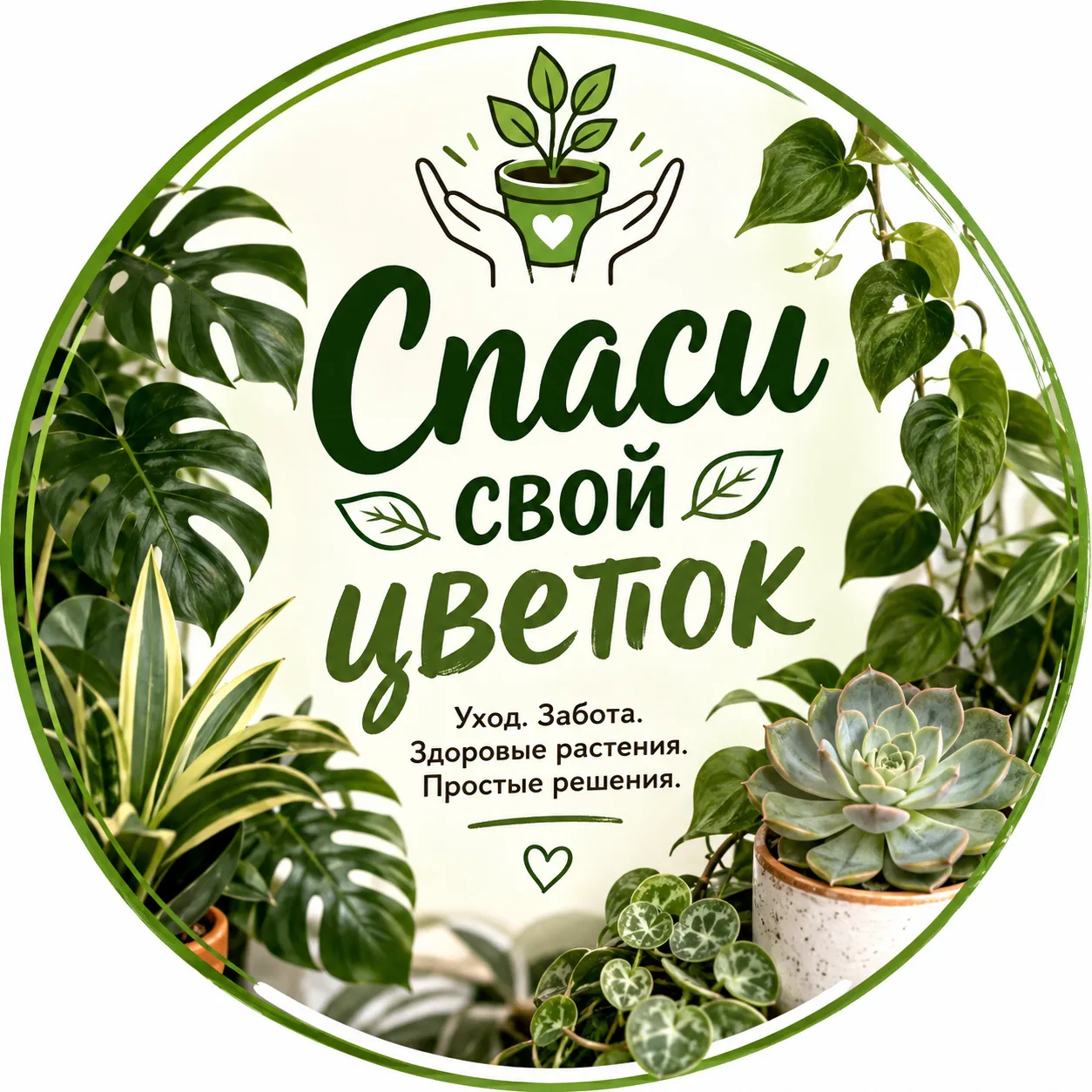 🌿 Спаси свой цветок — канал в мессенджере MAX