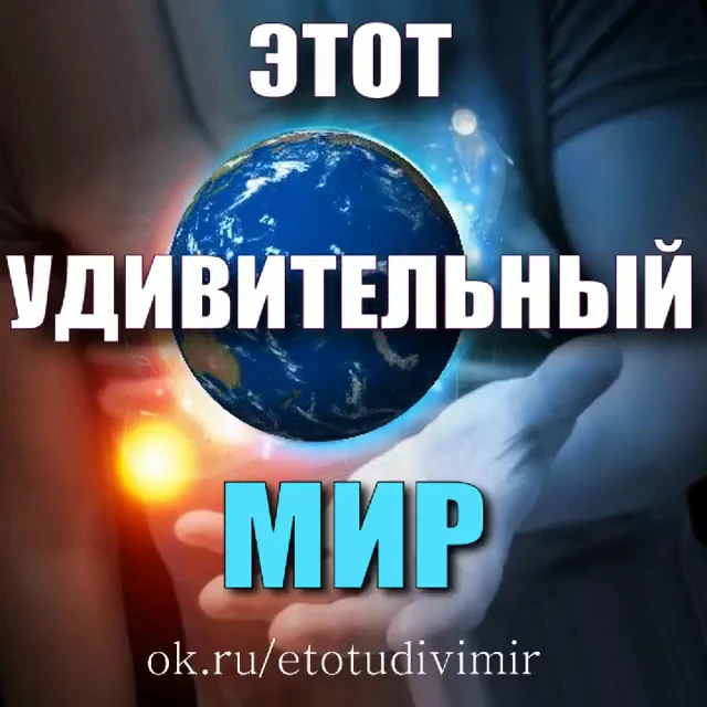 Этот удивительный Мир — канал в мессенджере MAX