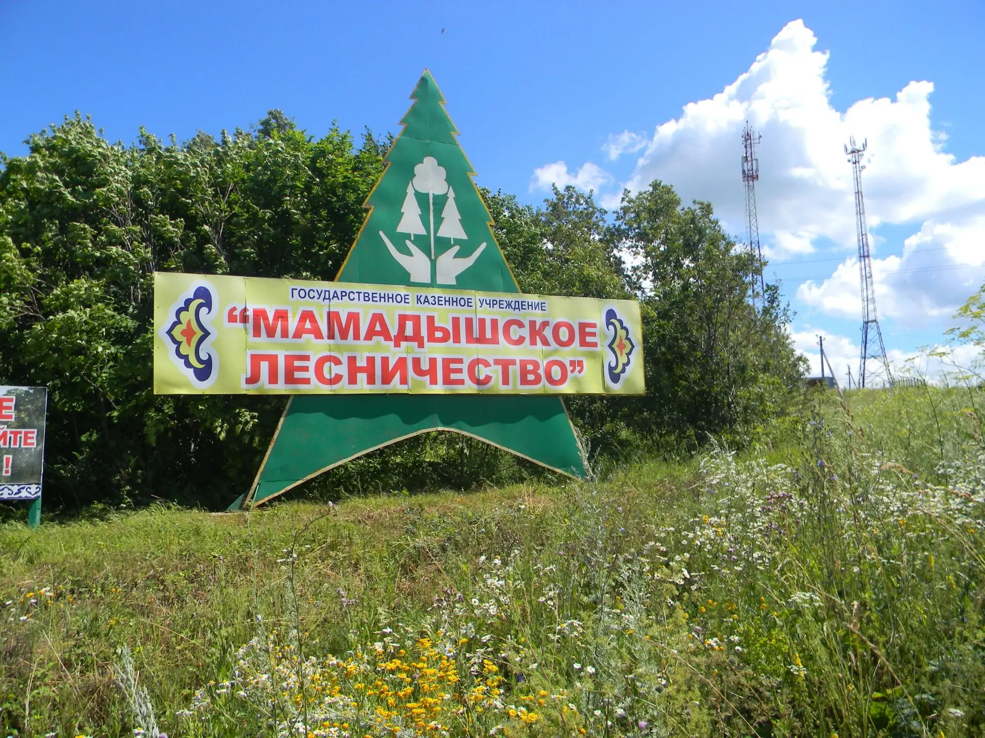 ГКУ "Мамадышское лесничество"
