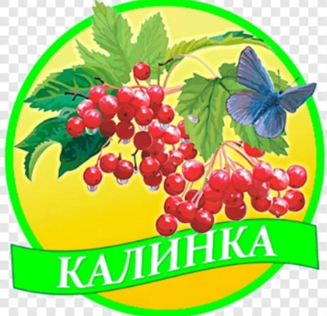 МДБОУ "Д/с 63 "Калинка"