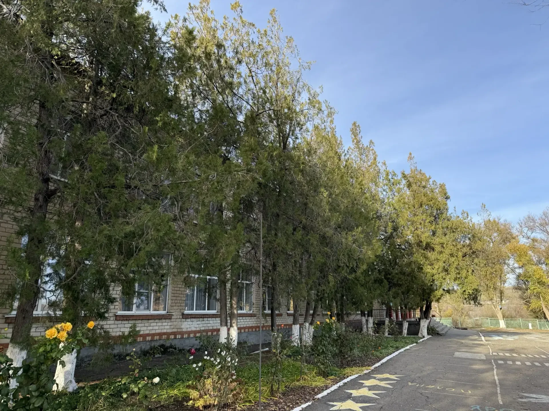 МБОУ "СОШ №24" ИМОСК