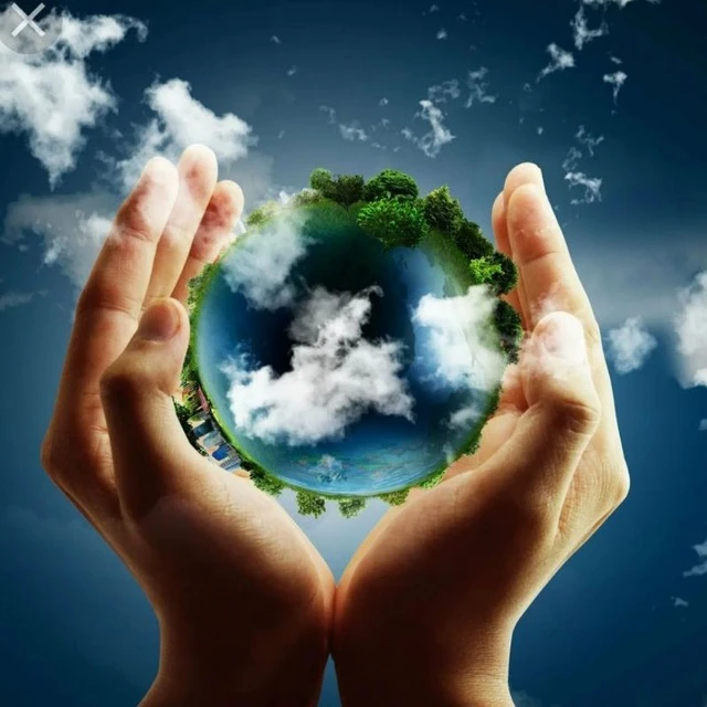 Мир на ладони