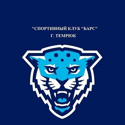 МБУ ТГП ТР "СК "Барс"