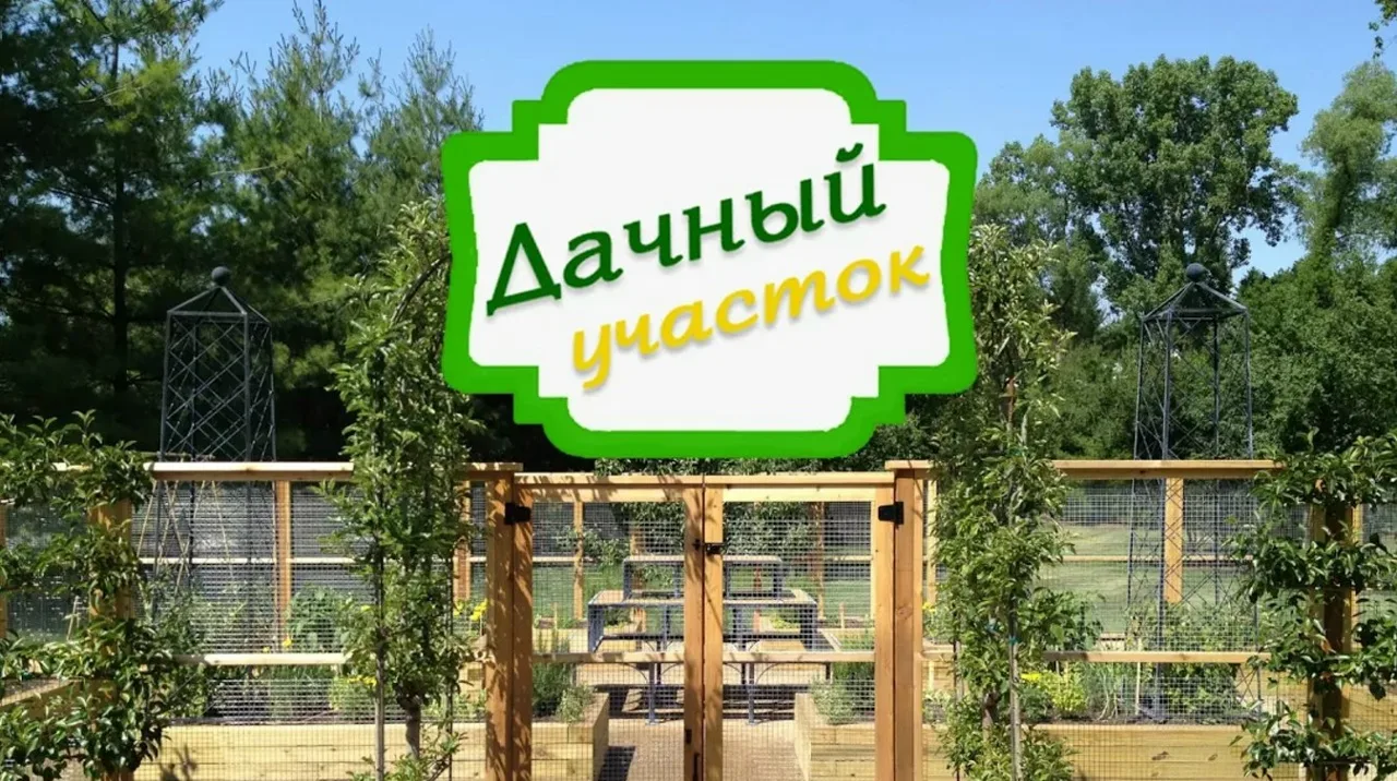 Дачный участок - Цветы, огород, ландшафт — канал в мессенджере MAX
