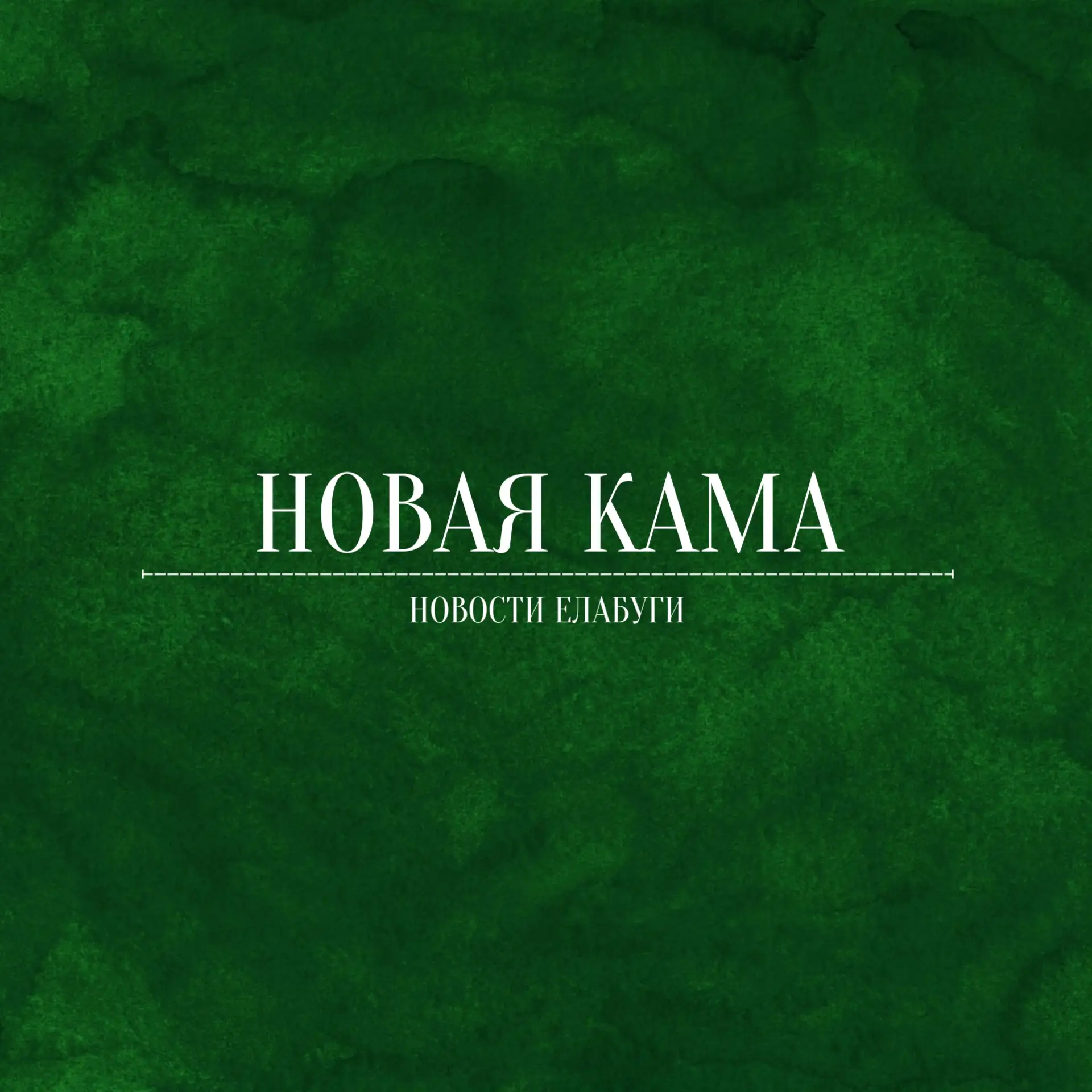 Новая Кама | Новости Елабуги — канал в мессенджере MAX