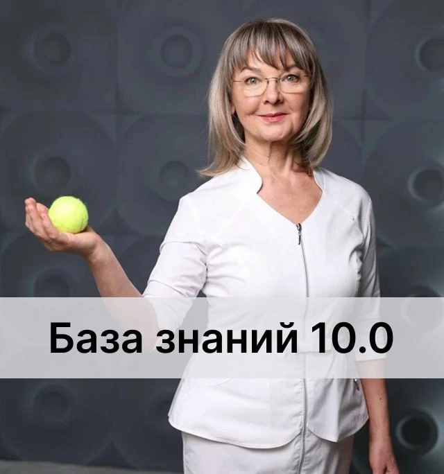 База тест