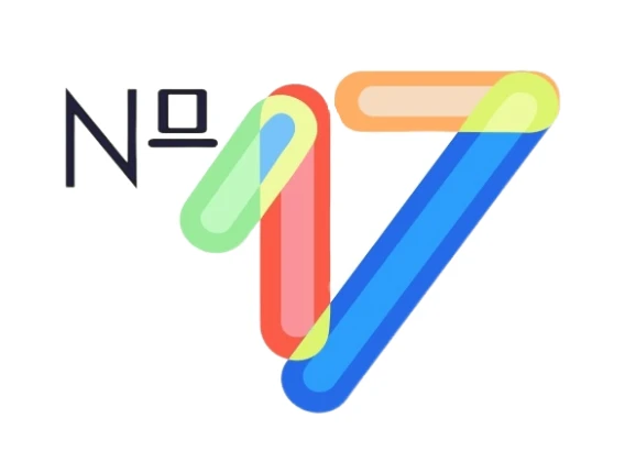 КОУ «Адаптивная школа-интернат №17»