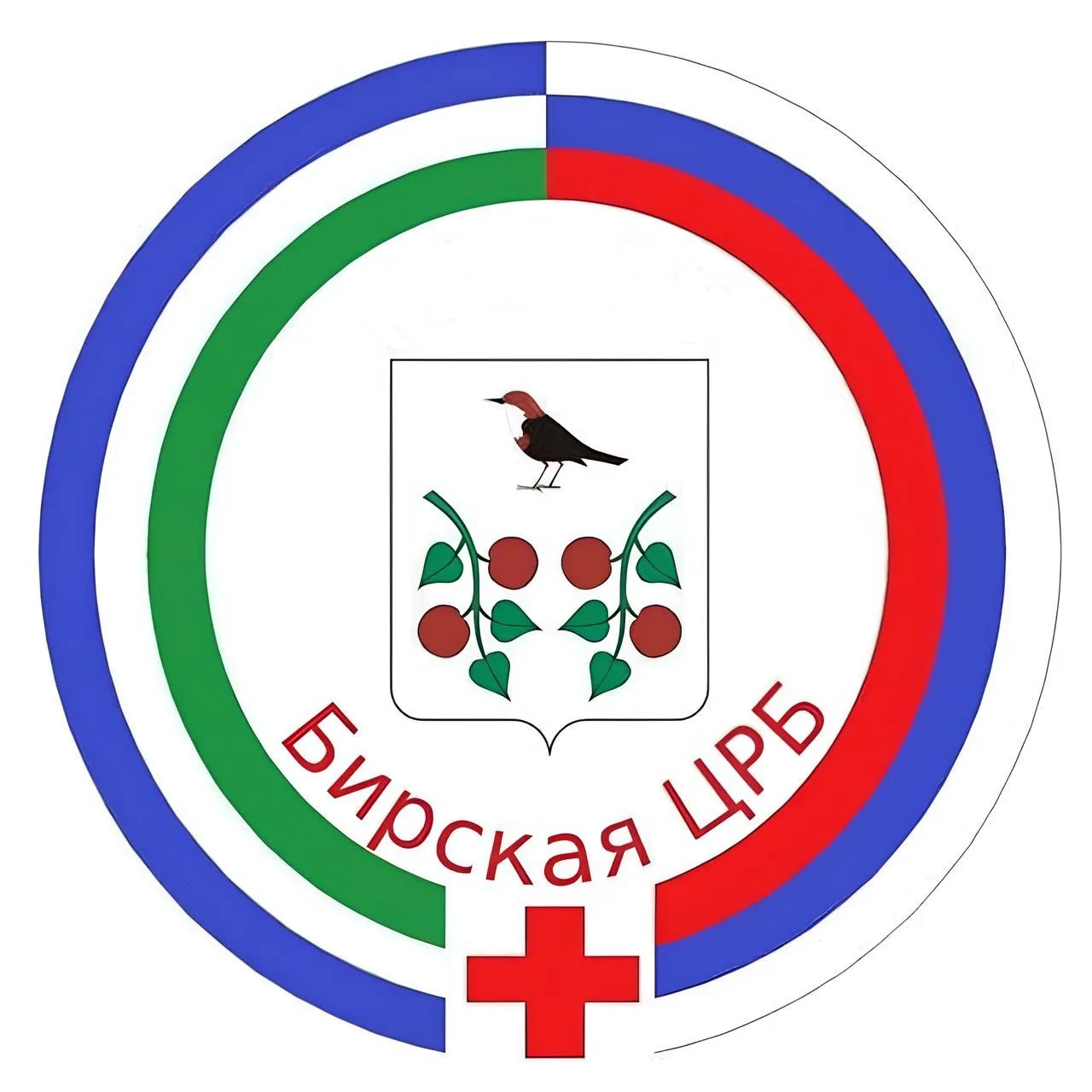 Бирская центральная районная больница