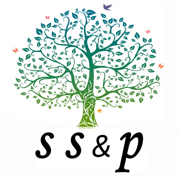 Аудиторская компания "Шевченко, Шмелёва и Партнёры"