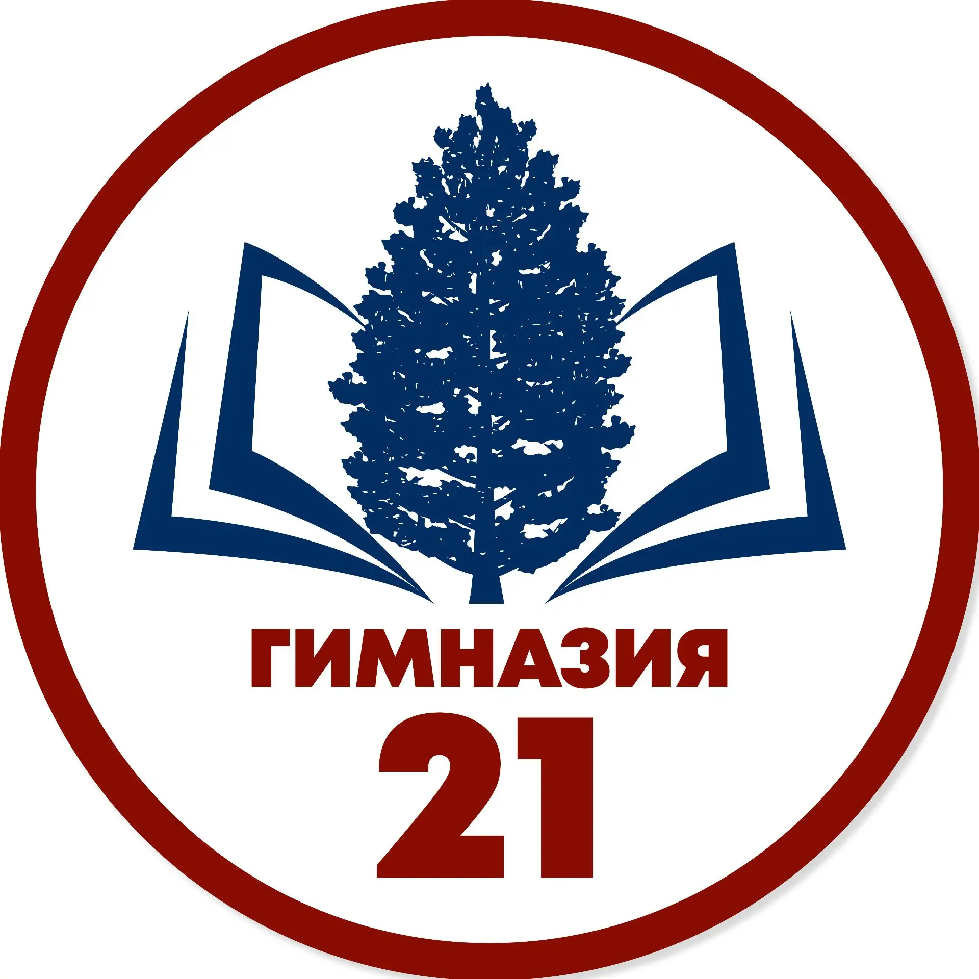 Гимназия № 21 имени А.М. Терехова