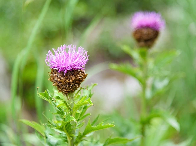 Логотип канала