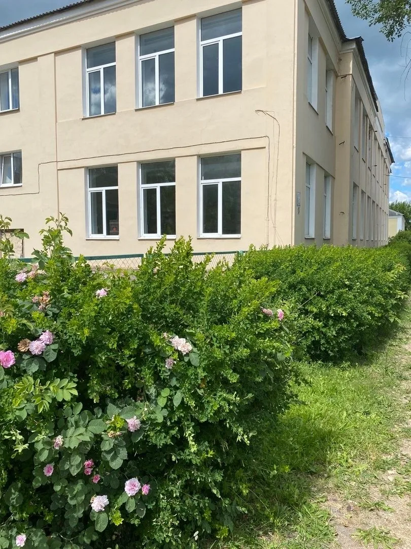 МБОУ СОШ 17 г.о. Вичуга