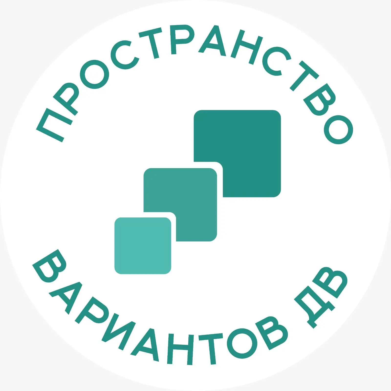 Пространство вариантов ДВ