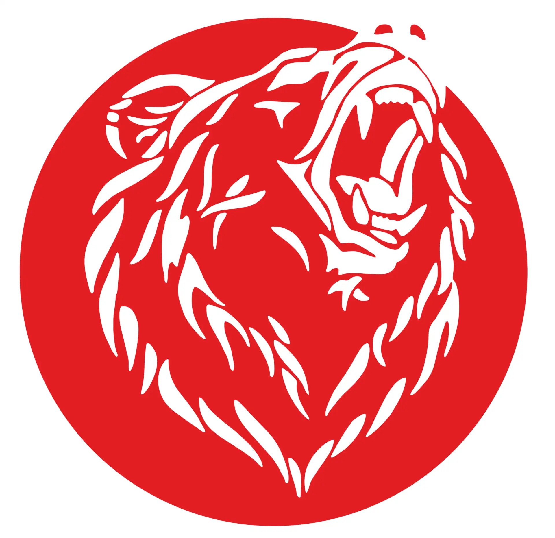 Комплексная спортивная школа | Хакасия