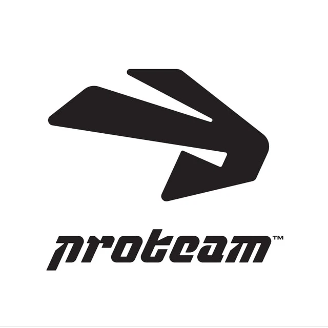 Proteam — канал в мессенджере MAX