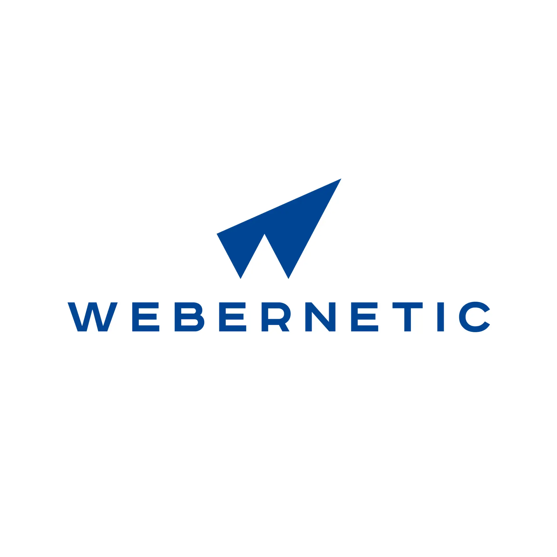 Webernetic | SEO • SMM • PPC • DEV