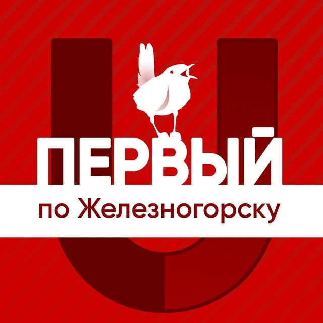Первый по Железногорску — канал в мессенджере MAX