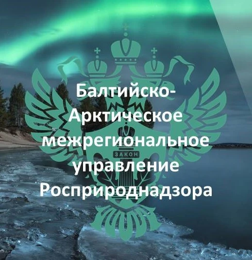 Балтийско-Арктическое межрегиональное управление Росприроднадзора — канал в мессенджере MAX