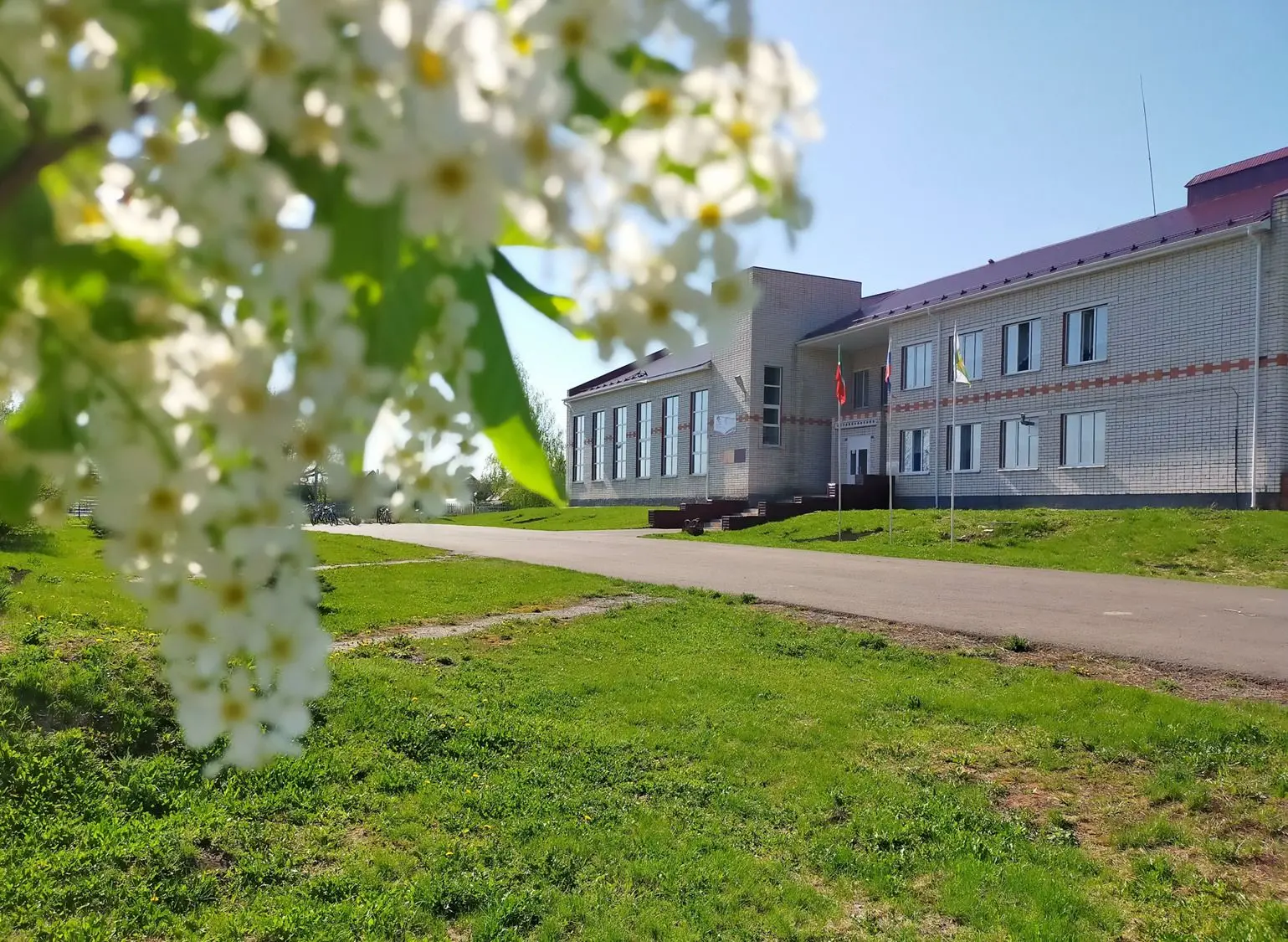 МБОУ «Старочечкабская ООШ»