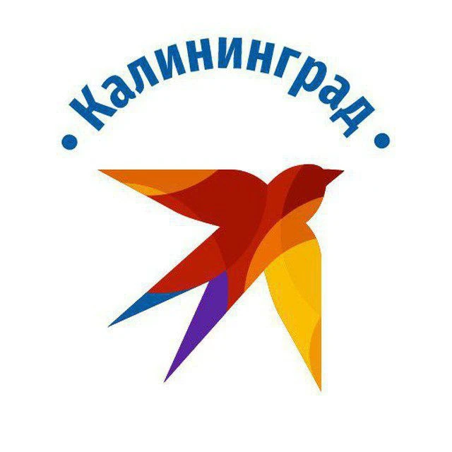КП-Калининград — канал в мессенджере MAX