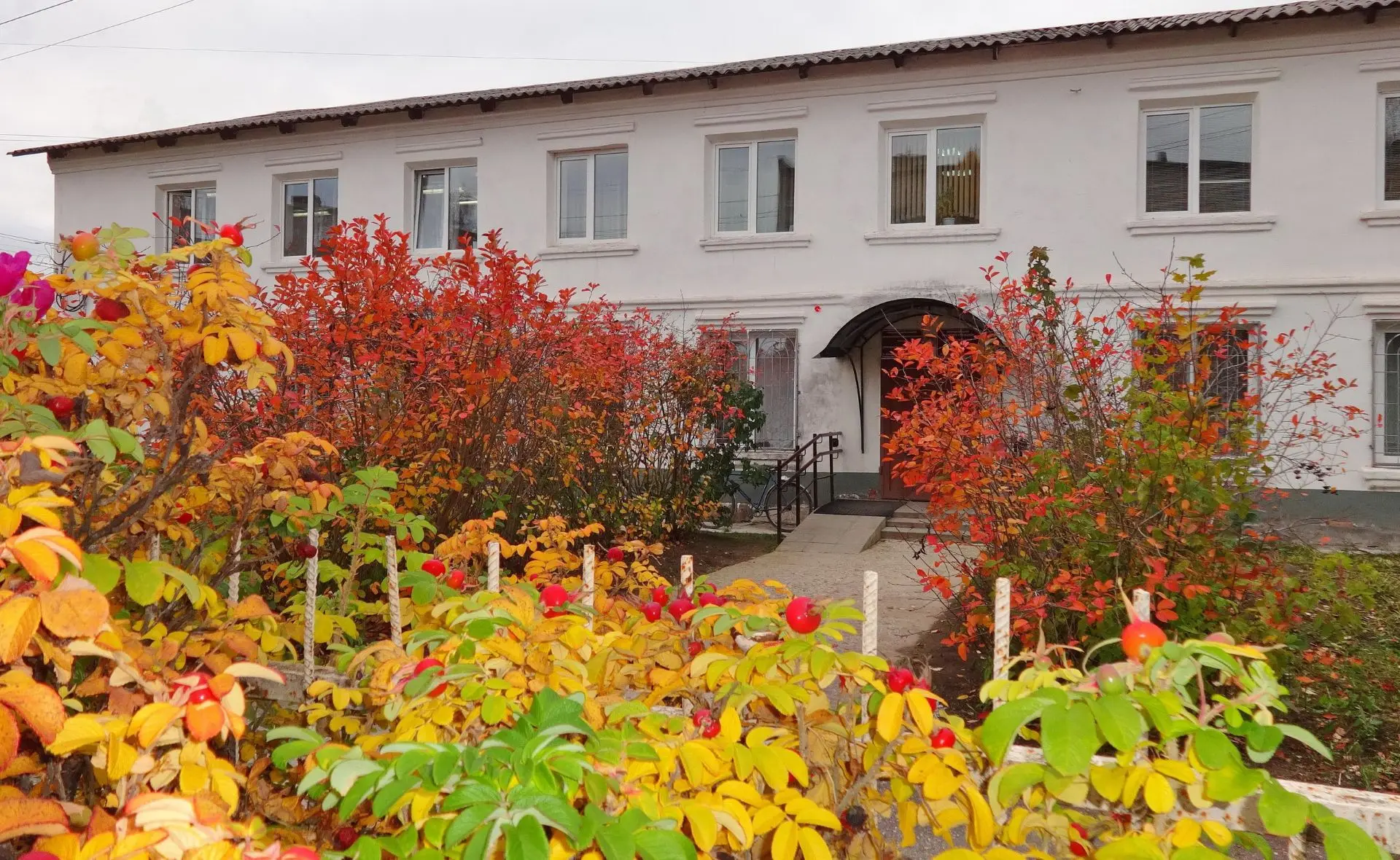 Управление образования Шекснинского муниципального округа (официальный канал)