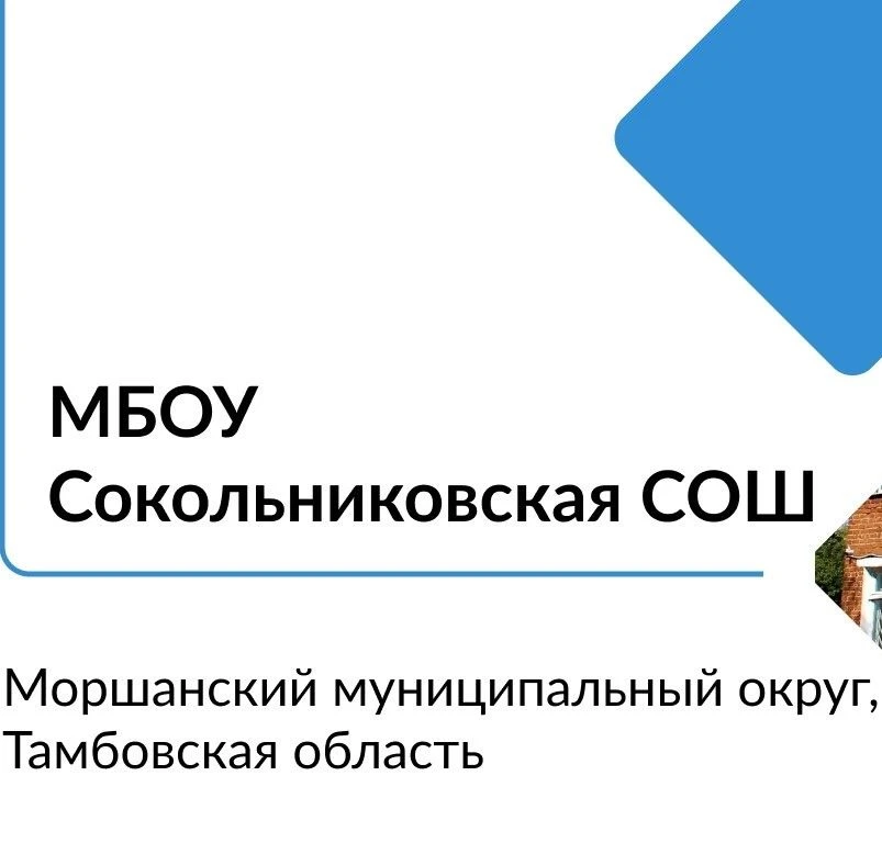 МБОУ Сокольниковская СОШ — канал в мессенджере MAX