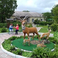 КГБУСО "Липовецкий психоневрологический интернат"