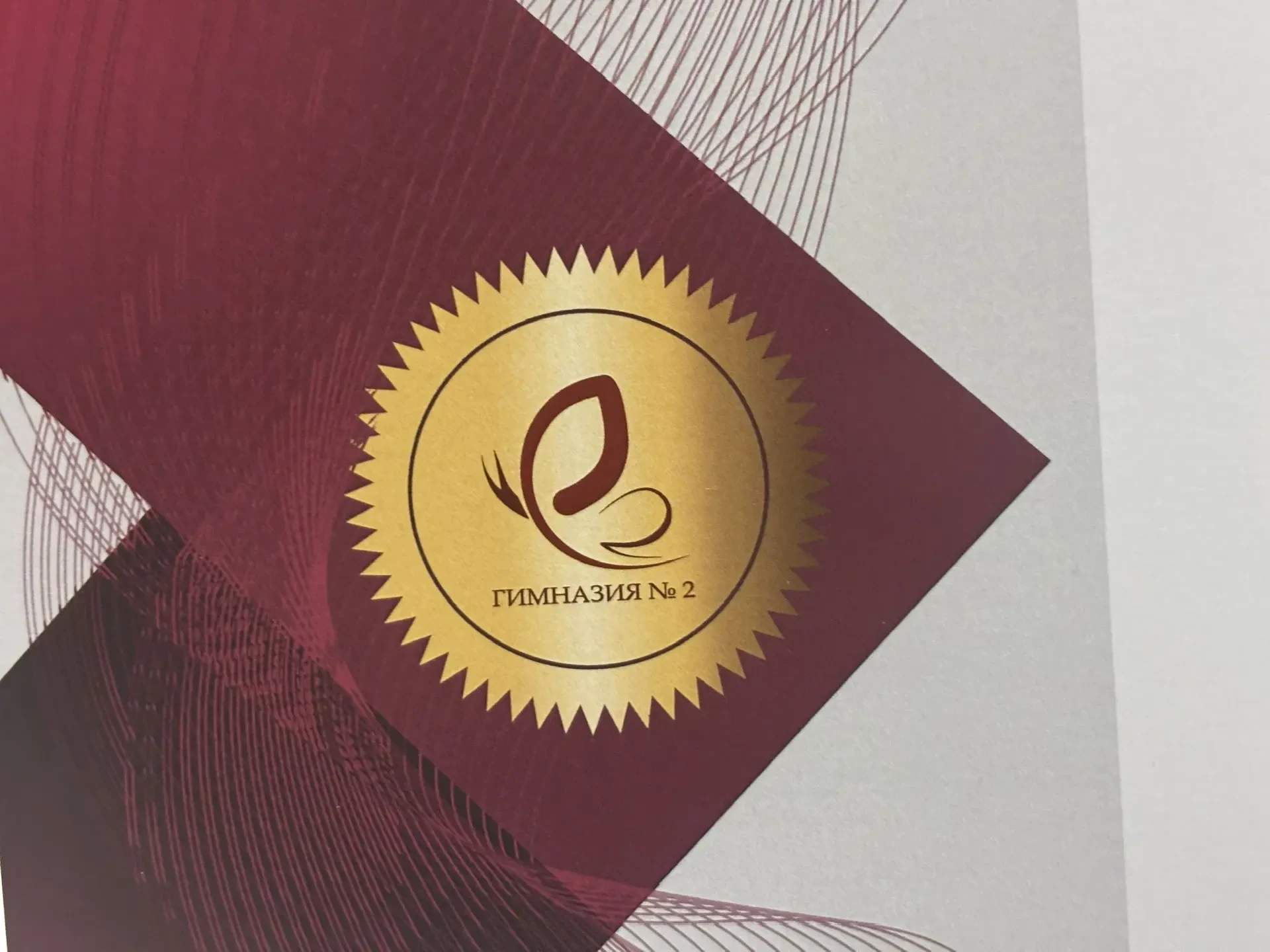 Общественный канал МБОУ "Гимназия №2" г. Брянска