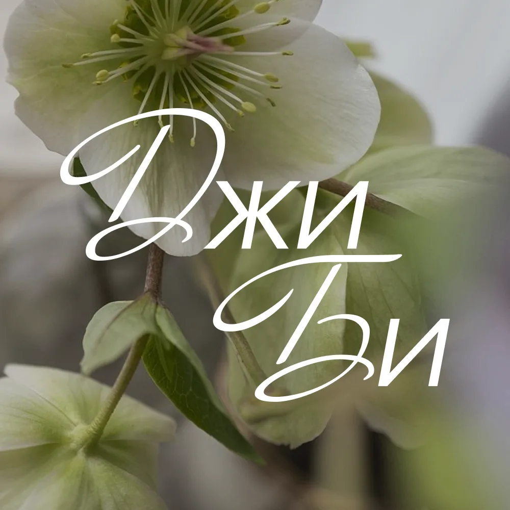 Логотип канала