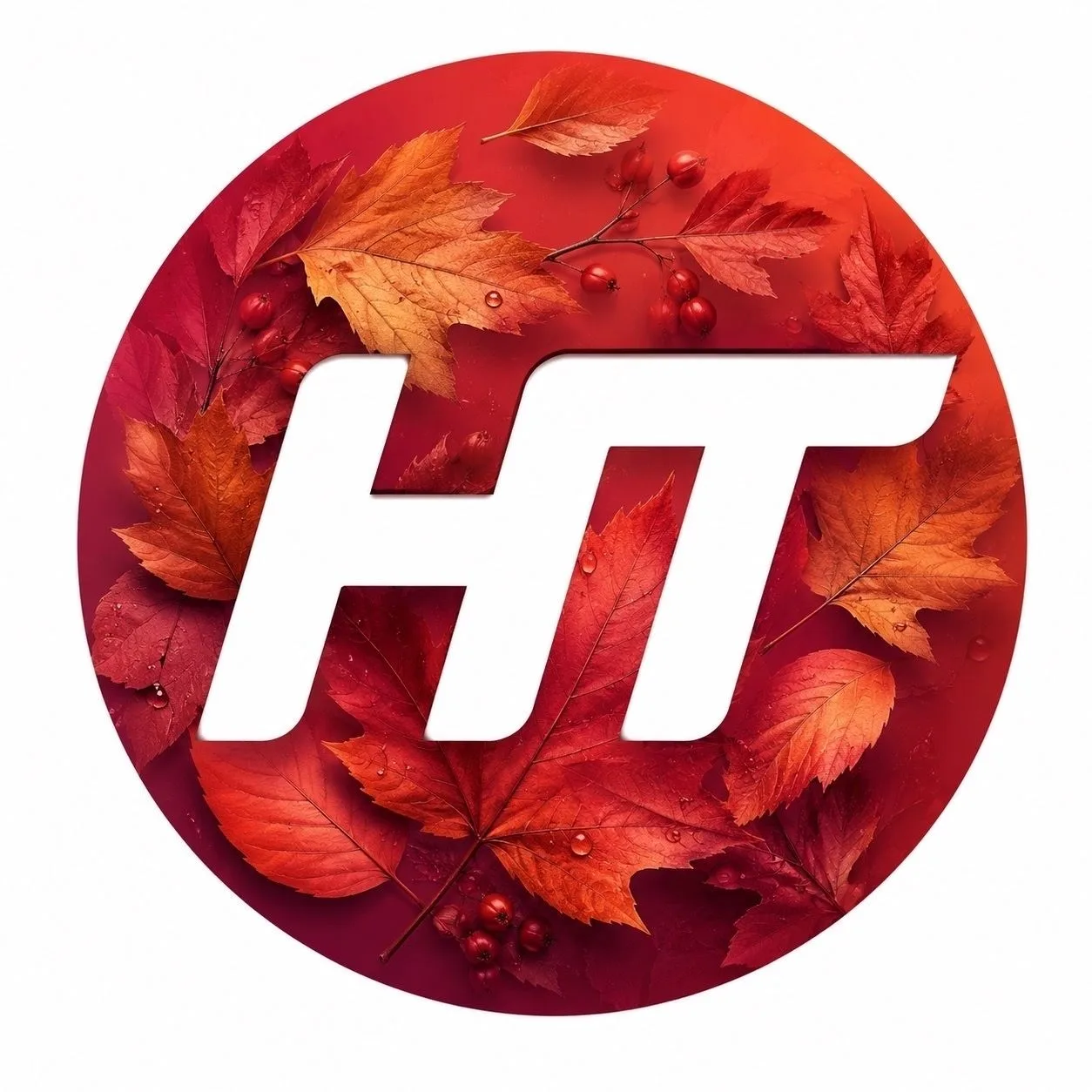 Новгородское областное телевидение — канал в мессенджере MAX