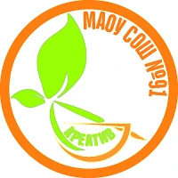 МАОУ "СОШ № 91" г. Перми