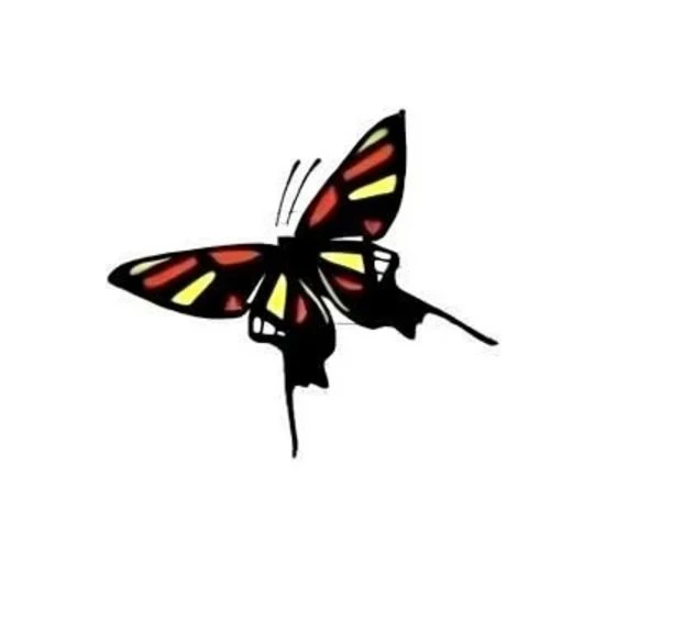 МБОУ "Гимназия №1"